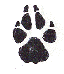  Dog Rubber Stamp - Paw Print Jumbo-1002F (Size: 2-3/4