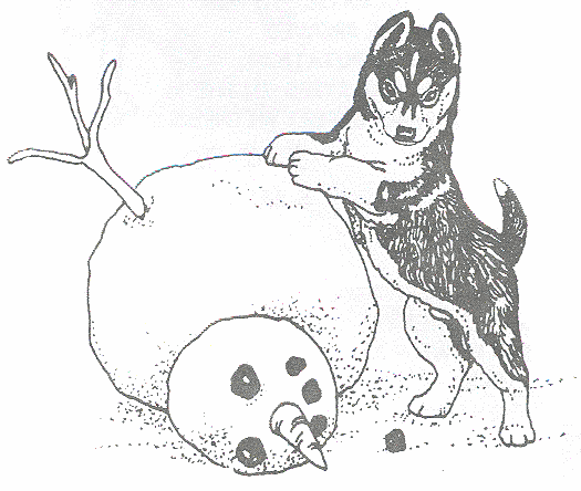 baby husky coloring pages - photo #16