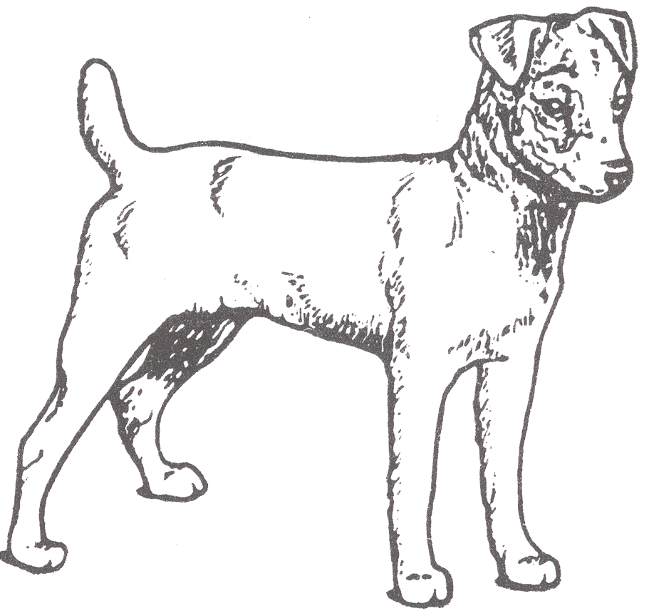 jack russell coloring pages - photo #9