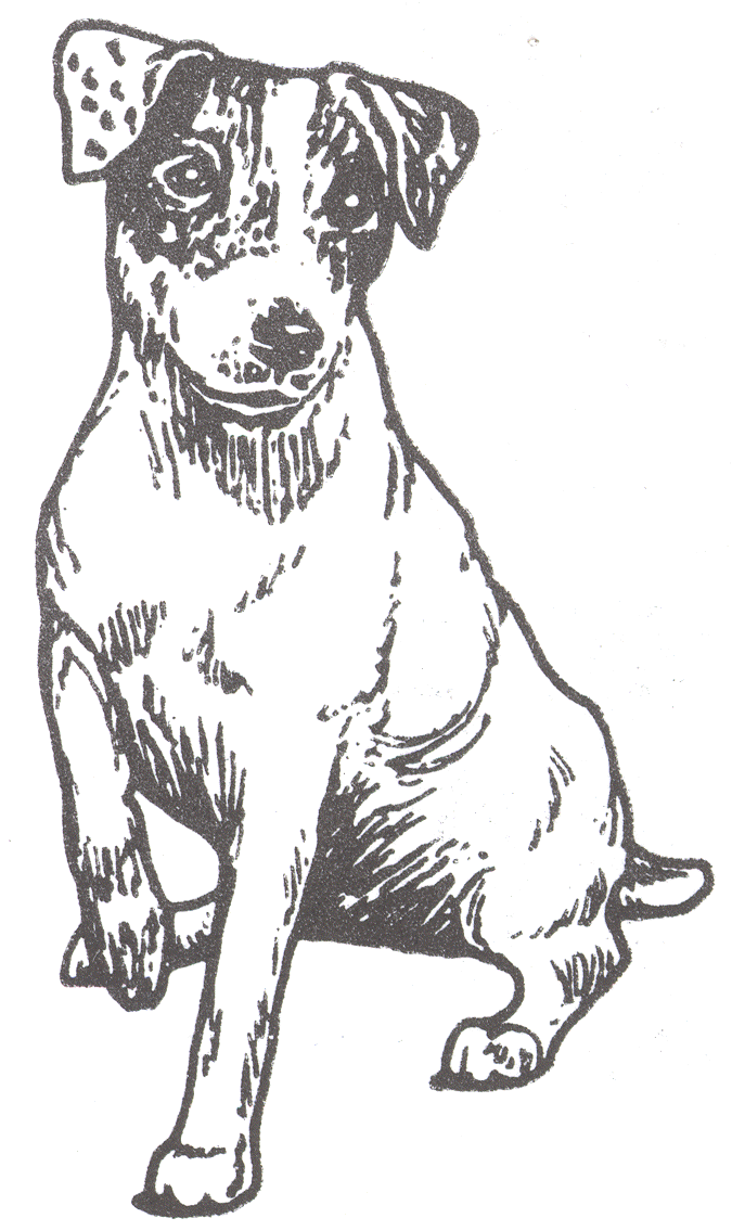 jack russell coloring pages - photo #8